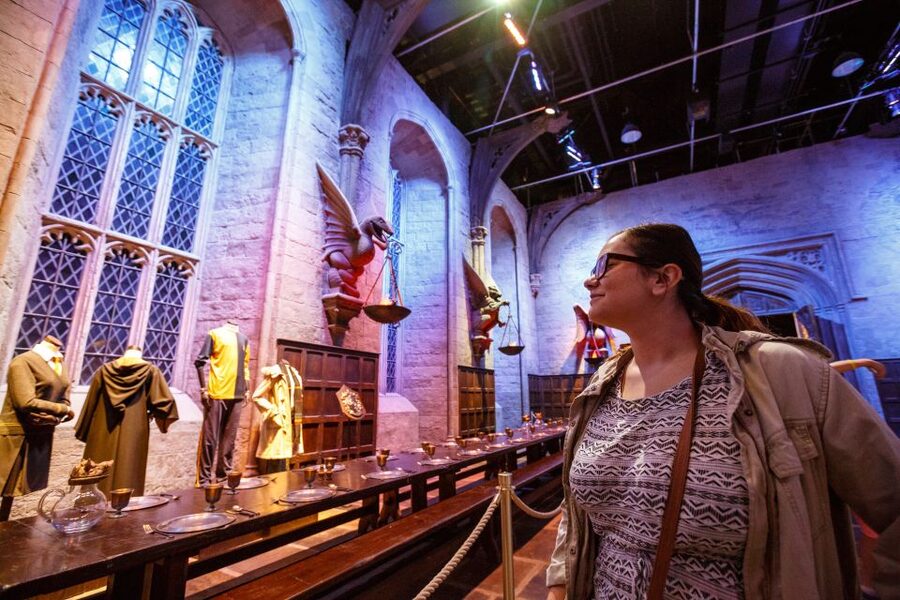 From London: Harry Potter Warner Bros Studio Tour - Seasonal Shows: Dark Arts and Hogwarts in the Snow