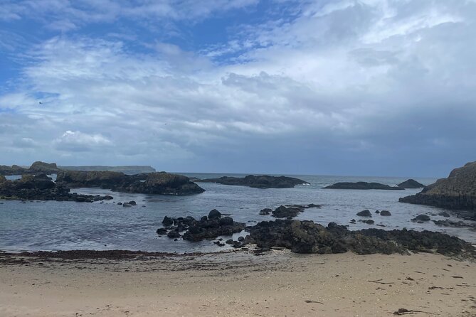 Game Of Thrones Locations & Giants Causeway North Antrim Coast Tour - Bushmills Distillery: a built-in break for shopping and optional tasting