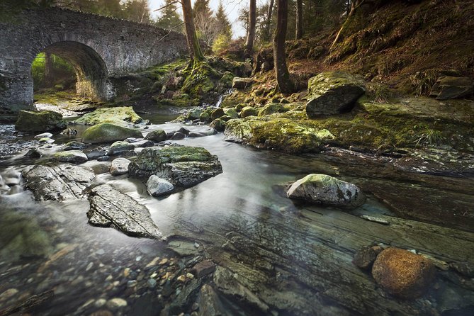 Game of Thrones - Tollymore Forest Trek - Stop 1: The prologue scene area where the story tone clicks