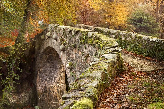 Game of Thrones - Tollymore Forest Trek - The direwolf bridge: where the Starks find the aftermath