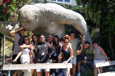 Half Day Lord of the Rings Tour - Mount Victoria Lookout: getting your bearings first