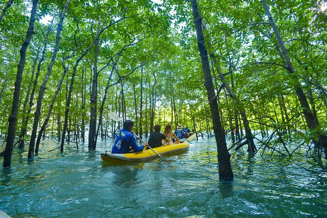 James Bond and Koh Panyee Village Sea Canoeing from Khao Lak - Key Highlights You’ll Feel Immediately