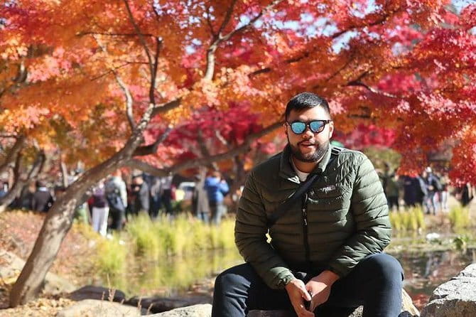 K-pop boyband Film Location Private Day Trip - Lunch in Seoul: Korean or Pizza, Plus Vegetarian Planning