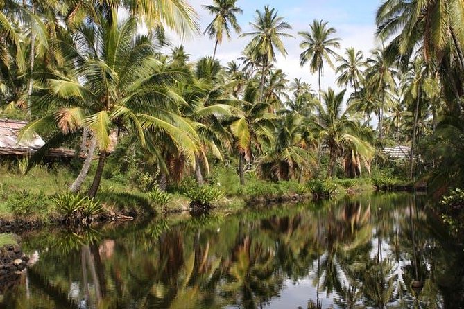 Kauai: Hawaii Movie Tour - Opaekaa Falls: More Film Connections, Slightly Longer Time