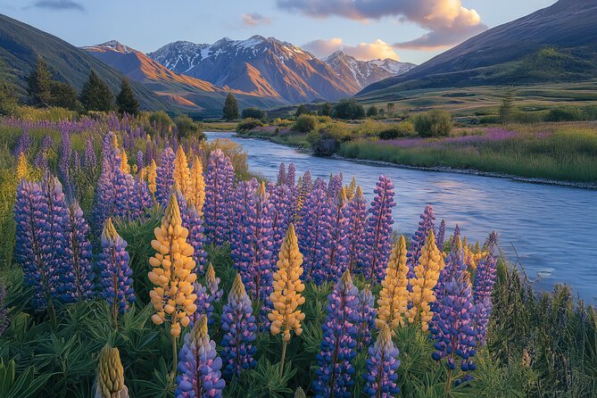 Lord of the Rings Scenic Half Day Tour from Queenstown - Mt Aspiring National Park (45 minutes) and why the permit access matters