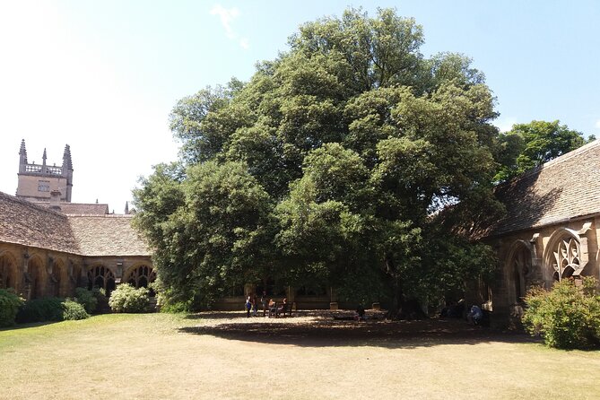 New College Oxford Harry Potter Insights PRIVATE TOUR Daily - Timing, Closures, and the Dates You Should Not Ignore