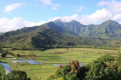 One-Day Tour Hawaii Movie Tour: Island Hopping from Oahu to Kauai - Price and Value: Why $540 Can Work for a One-Day Island Hop