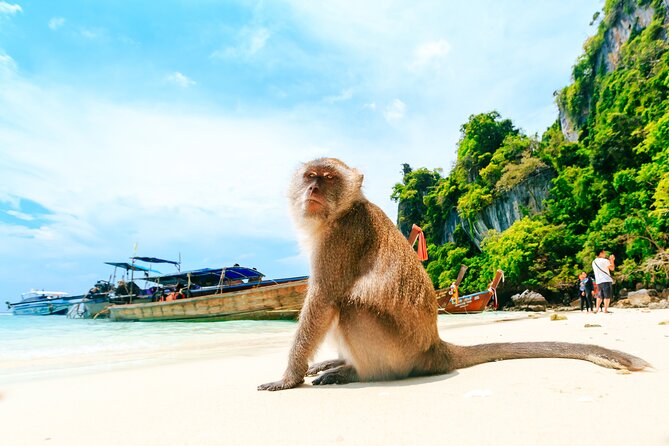 Phi Phi, James Bond & Krabi Overnight - Exclusive 2D1N - Day 2: Maya Bay, Pileh Bay, Viking Cave, Monkey Beach, and Bamboo Island
