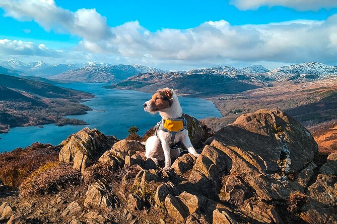 Private Harry Potter, Glenfinnan Viaduct, Highlands tour Glasgow - The 12-hour Glasgow-to-Highlands rhythm: plan for a road-trip, not a slow cruise