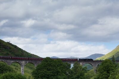 Private Harry Potter, Glenfinnan Viaduct, Highlands tour Glasgow - Taste Perthshire: hand-feed Highland Coos and grab a real break