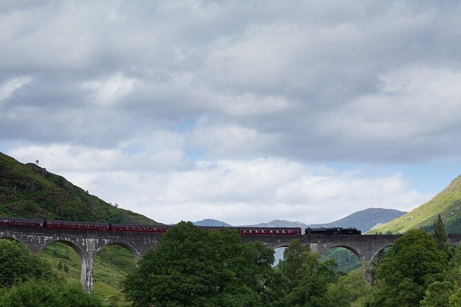 Private Harry Potter, Glenfinnan Viaduct, Highlands tour Glasgow - Taste Perthshire: hand-feed Highland Coos and grab a real break