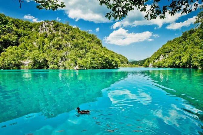 Private Transfers to Krka Waterfalls & Game of Thrones Castle - Stop 2: Krka Waterfalls—how to use your free time well