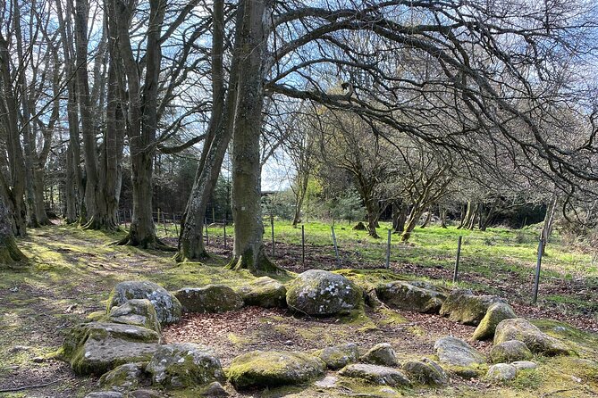 The Outlander Tour Clava, Culloden, Urquhart, Loch Ness & Beauly - Robertson’s The Larder & Highland Cows: the stop that resets your day