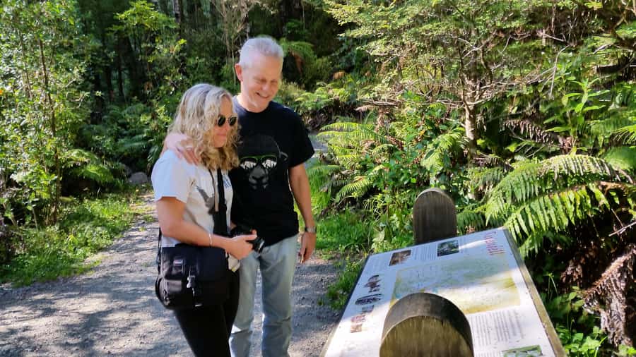 Wellington: Lord of the Rings Filming Locations Tour - Rivendell at Kaitoke Regional Park: The Elves Part Works