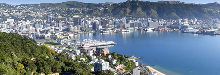 Wellington: Lord of the Rings Half-Day Guided Tour inc Weta - Price, included tickets, and how guiding adds value