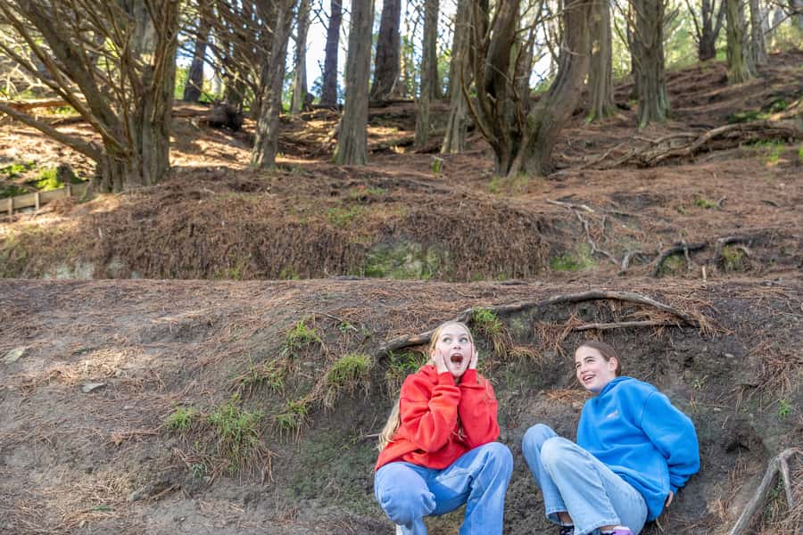 Wellington: Lord of the Rings Half-Day Guided Tour inc Weta - Comfort, walking, and who this tour fits best